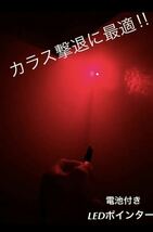 【電池付き】LEDライト ポインター　赤　強力　カラス駆除　RED LED _画像2