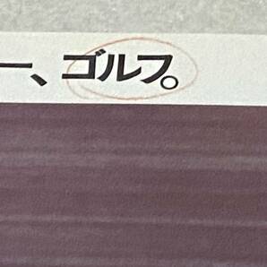 L3/ フォルクスワーゲン カタログ / 1977年 Family かぶと虫 ゴルフ パサート シロッコ の画像4