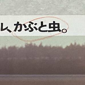 L3/ フォルクスワーゲン カタログ / 1977年 Family かぶと虫 ゴルフ パサート シロッコ の画像5