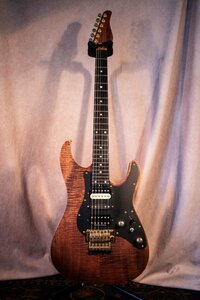 ♪ SCHECTER SA Series シェクター エレキギター ☆D0226