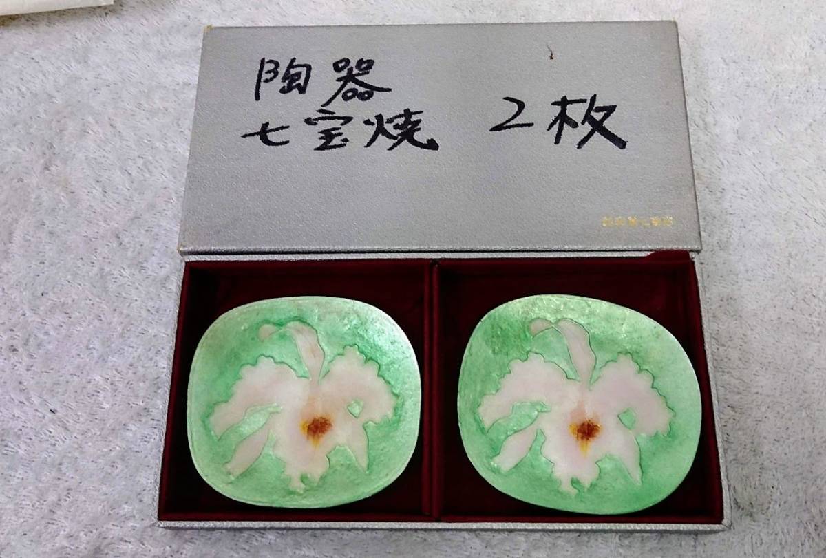 カトレア 七宝の値段と価格推移は?|37件の売買情報を集計した