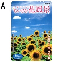 【使用済】JR西日本 Jスルーカード 心やすらぐ ちいさな花風景 京都府亀岡市内(ひまわり) / 滋賀県近江八幡市・水郷(菜の花) 2枚_画像2