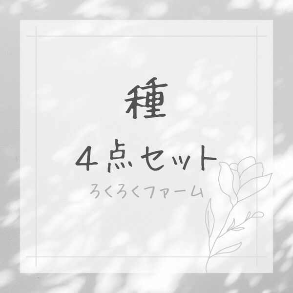 【種】おまとめ４点セット おまとめ割