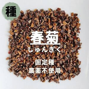 【種】春菊　シュンギク　無農薬　100粒