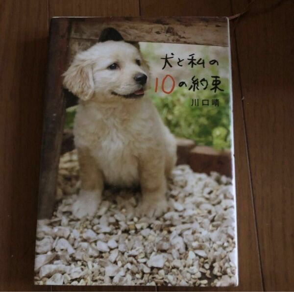 ★印は2冊¥300- ★犬と私の１０の約束 川口晴／著