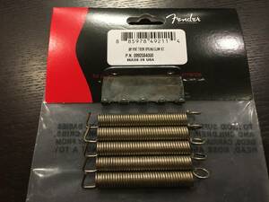 非売品 レリック仕様 FENDER フェンダー Pure Vintage Stratocaster Tremolo Spring&Claw レリック トレモロスプリング　クロウハンガー