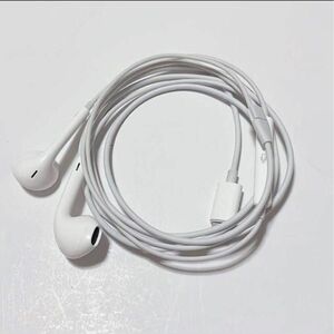 Apple純正イヤホン Earpods(Lightningコネクタ)