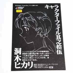 カードダスマスターズ 1996 新世紀エヴァンゲリオン 洞木ヒカリ キャラクターファイル其之拾伍 CH15 初版の画像2