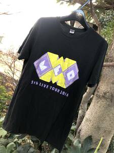 家入レオ　Tシャツ　５TH　ツアー　2016年　ブラック　送料230円　大きいサイズXL