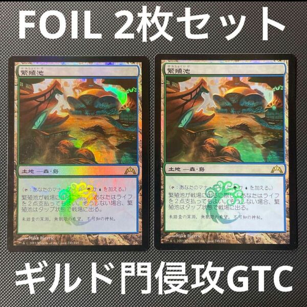 【Foil】2枚セット《繁殖池/Breeding Pool》[GTC] 土地R ショックランド MTG フォイル