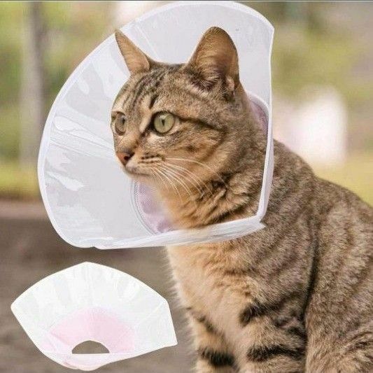 エリザベスカラー 猫用 犬用 透明 傷舐め防止 去勢手術 軽量 傷口保護 ペット用