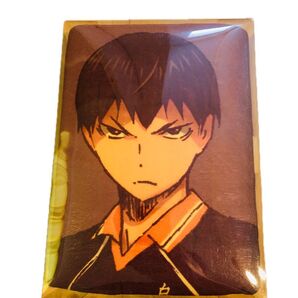 ハイキュー バスタオル