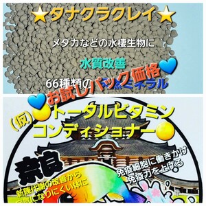 ◎大和メダカ◎　お試しパック価格　●タナクラクレイ●５００g　&　○トータルビタミンコンディショナー○１０ml　一度お試しされたい方に