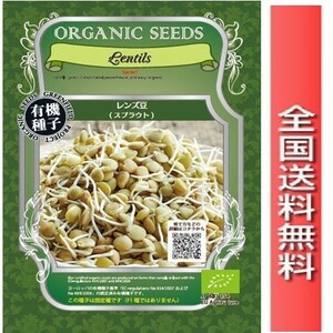 オーガニック・スプラウトのタネ レンズ豆 有機種子 代引不可 メール便 全国送料無料