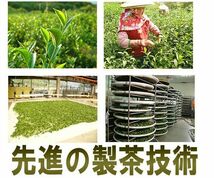 台湾高山ウーロン茶 タイワン烏龍茶　茶葉35g（中国茶）おためし少量 直輸入 本格茶葉 リーフ 送料無料 台湾茶 中国茶 美食同源_画像6