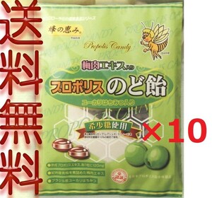  propolis entering plum meat . sweets 80g ×10 sack candy -[ payment on delivery possible ][ free shipping ]