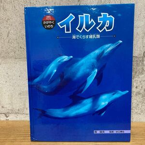 イルカ　海でくらす哺乳類 （科学のアルバム・かがやくいのち　５） 南俊夫／著　水口博也／監修