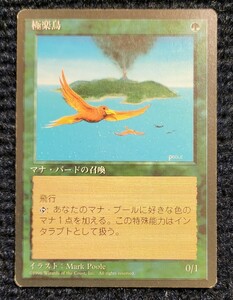 【MTG】極楽鳥 