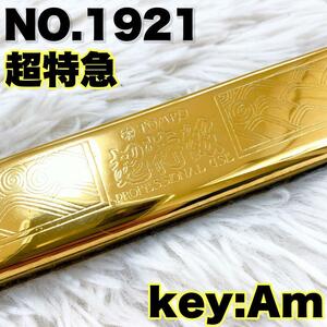 № 1921 Super Special Am Double Double Harmonica Tombo Dragonfly