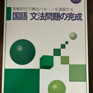 入試完成シリーズ　国語文法問題の完成　実験形式で頻出パターンを演習する　国語　過去問