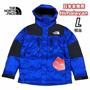 THE NORTH FACE ノースフェイス ヒマラヤンダウン GORE-TEX ウインドストッパー 海外限定 ブルー M