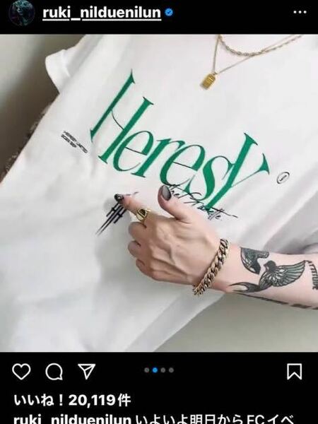 the GazettEガゼット HETERODOXY Tシャツ ヘレシーオンリー 状態良好