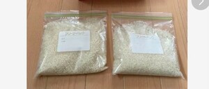 令和５年産新米魚沼産コシヒカリ従来品種お試しパック　450g×2　合計900g