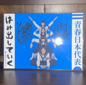 Art hand Auction 新しい学校のリーダーズ ラミネート ハンドメイド品, ハンドメイド作品, インテリア, 雑貨, パネル, タペストリー