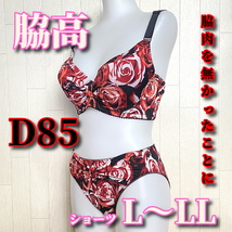 D85L-LL☆脇肉を無かったことにするブラ 薔薇柄 脇高 ホック3段3列 ブラ&ショーツ レッド系 F858_画像1