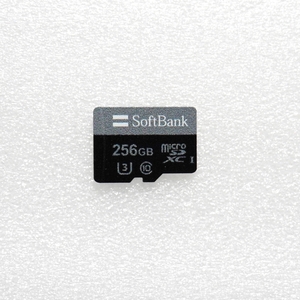 ■ microSDXC 256GB ■　 動作品 フォーマット済 ジャンク 扱い microsd Microsd / S12034