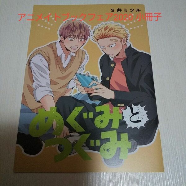 めぐみとつぐみS井ミツルアニメイトブックフェア2020小冊子