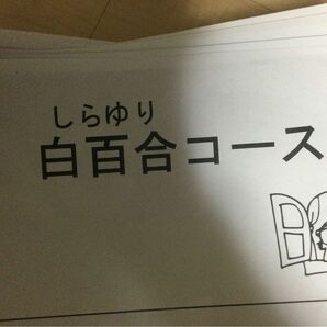 白百合学園小学校　学校別　小学校受験　お受験　幼児教室　年長　ペーパー　過去問