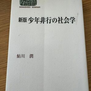 新版少年非行の社会学 著　鮎川潤