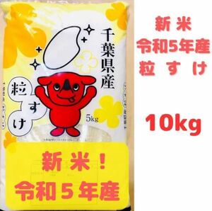 令和5年 新米 千葉県産「粒すけ」 1０Kg 体に優しい減農薬のお米 農家直送