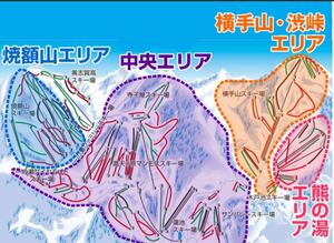 志賀高原マウンテンリゾート（全18スキー場共通券） 2枚