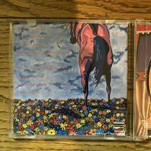 国内盤　CD Galactic Cowboys The Horse That Bud Bought VICP-60066 帯付き_画像3