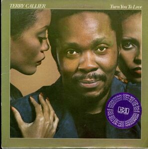 プロモ盤白ラベル！USオリジLP！Terry Callier / Turn You To Love 79年【Elektra / 6E-189】テリー・キャリアー Occasional Rain 収録