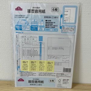 新卒就職用　履歴書用紙　B5判　6枚