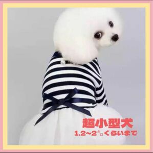 犬服 ワンピース　ワンコ服　可愛い　極小サイズ　1.2〜2キロ　ボーダー　チュールスカート　紺白　可愛い ドッグウェア