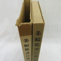 佐E5116●【書籍】条幅範書百選 漢字篇 青山杉雨 二玄社 1984年 初版 元箱あり 函あり 書道 条幅 範書_画像2