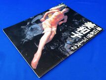 外R8117◆写真集【篠山紀信 ニュース２『美和子』初版/朝日出版社/篠山紀信 藤谷美和子 伍代夏子 堀ちえみ 勝新太郎他】_画像3