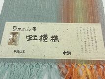 平和屋1■八寸名古屋帯　紬地　草木おしゃれ帯　虹模様　手織工房　証紙付き　逸品　rv9645_画像7