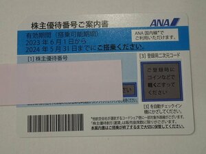 ANA 全日空 株主優待券 2024/5/31まで 10枚セット レターパックライト送料無料