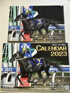 【未使用_非売品】 南関東4競馬場 2023年 カレンダー クリアファイル セット 競馬 東京ダービー 馬