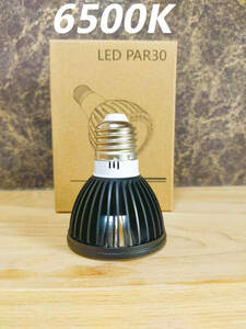 [ free shipping ] plant rearing light 15W 6500K 1 piece black color sun light full spec ktoruLED