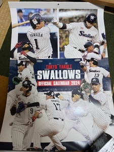  Tokyo Yakult Swallows 2024 официальный календарь 