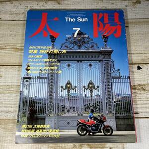 SA04-101　■　太陽　1984年7月　NO.266　■　別荘の愉しみ　平凡社