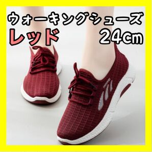 レディース スポーツ ウォーキングシューズ レッド ランニング 24cm ジム 軽量