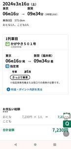 北陸新幹線敦賀延伸 3月16日 東京→敦賀行き始発 かがやき501号 窓側E席