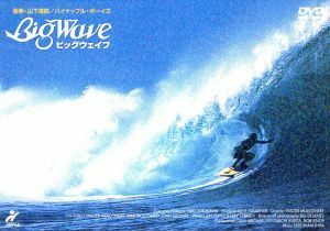 Ｂｉｇ　Ｗａｖｅ／マーク・リチャーズ